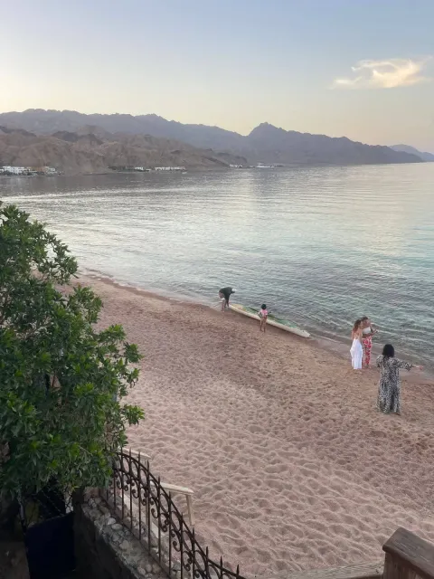 ستوديو عالبحر في العصله دهب✨🌊 اصحى على صوت الموج