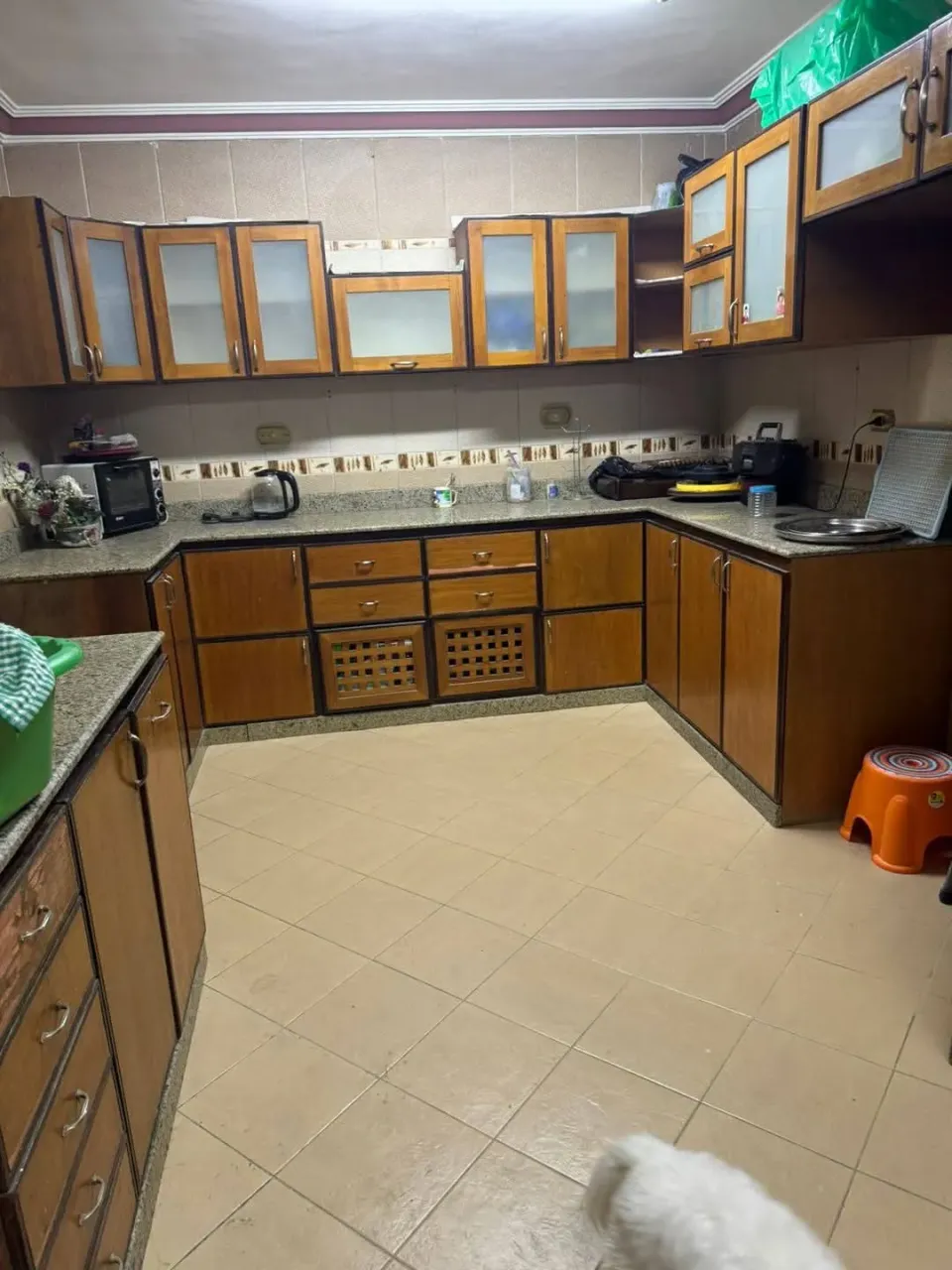 Apartment For Rent in Nasr City East