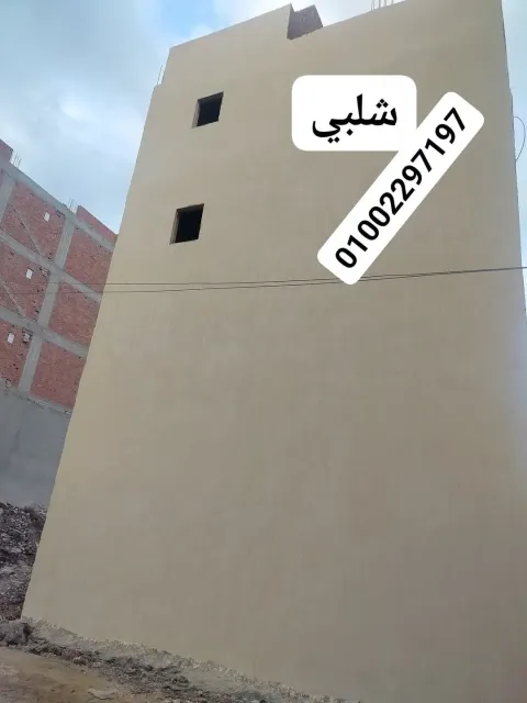 منزل للبيع في طلخا
