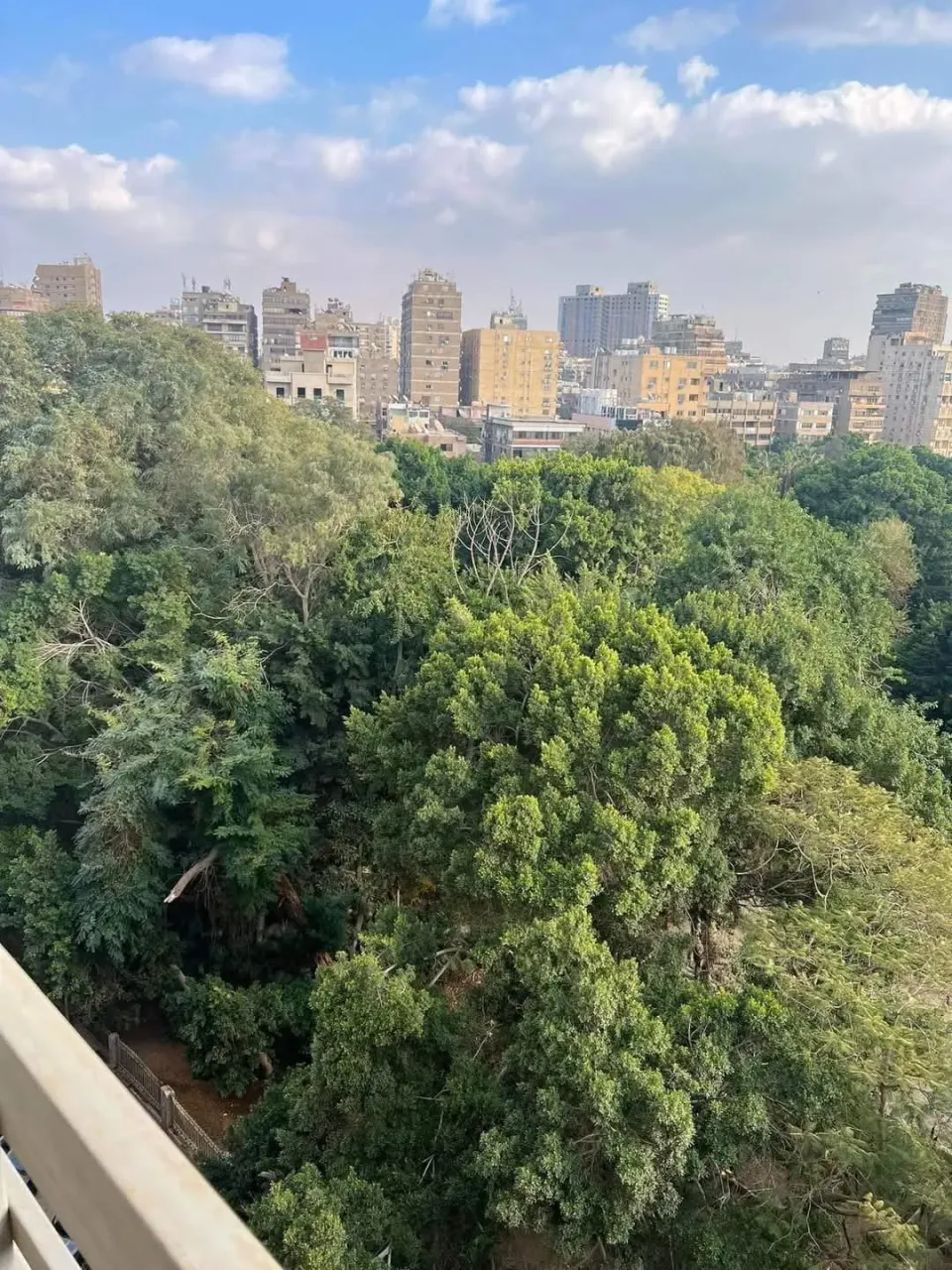 شقـــــه للبيــــع تفرعات ش لبنان شـارع