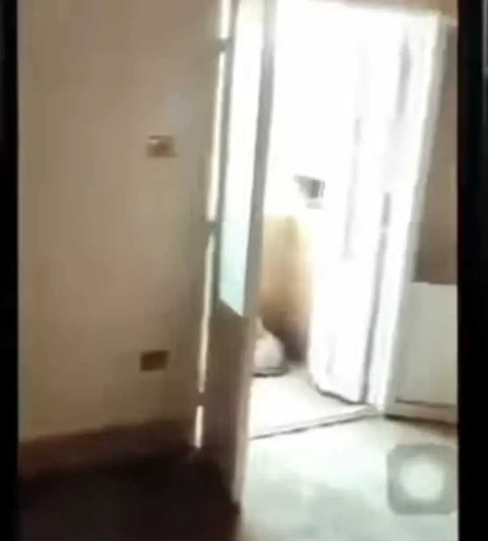 للبيع شقة100 رخيصةمصر الجديده خلف كنيسه البازيليك