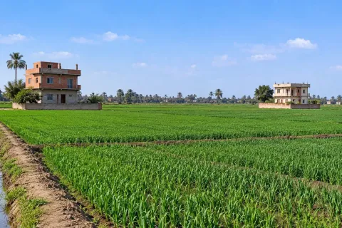 مزرعة للبيع في طنطا