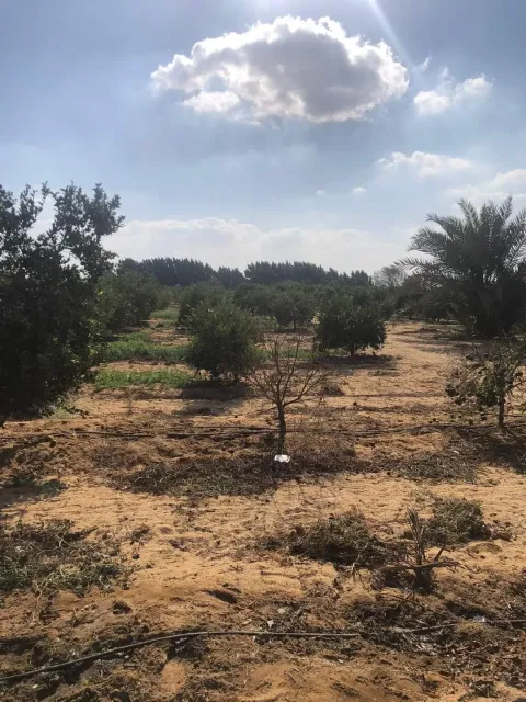 مزرعه للبيع لعدم التفرغ جانبي طريق مصر اسكندريه