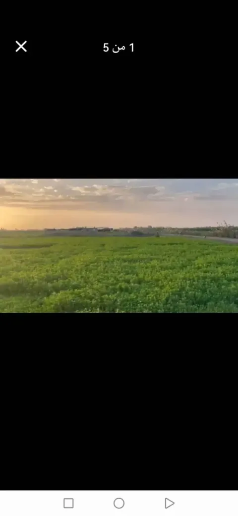 ارض زراعيه للبيع مدينة بورسعيد ٢ فدان ونص