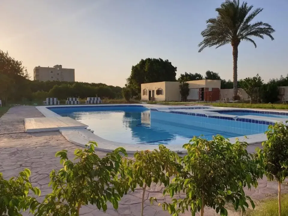عرابي