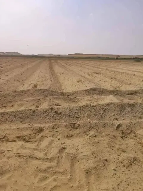 60 فدان للبيع تربه ممتازه جدا جدا