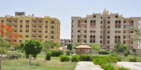 شقه دور ارضي مرتفع برج المستثمر الصغير