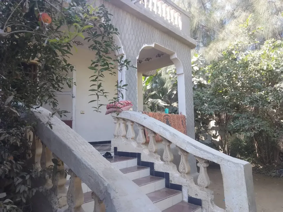 قواريط ونص عليهم منزل ابو المطامير