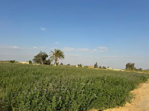 فدان للبيع في وادي النطرون