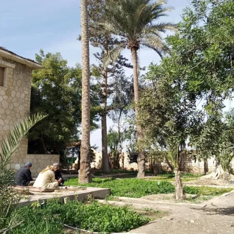 معانا قطعه ممتازه للبيع استثماريه وادي النطرون