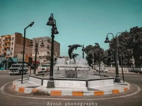 عماره للبيع ميدان الدولفين مساحه ٩٥