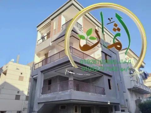 Apartment For Sale in Damietta