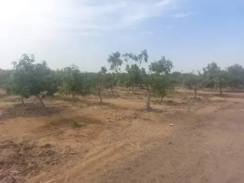 ارض للبيع