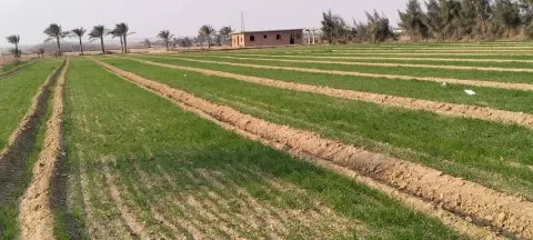 مزرعه للبيع عشر فدادين