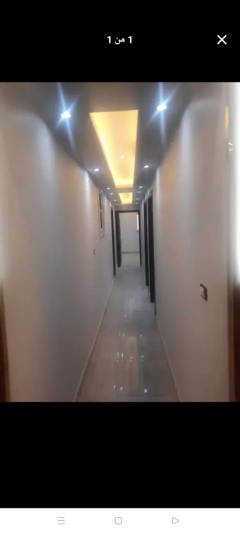 شقه للايجار