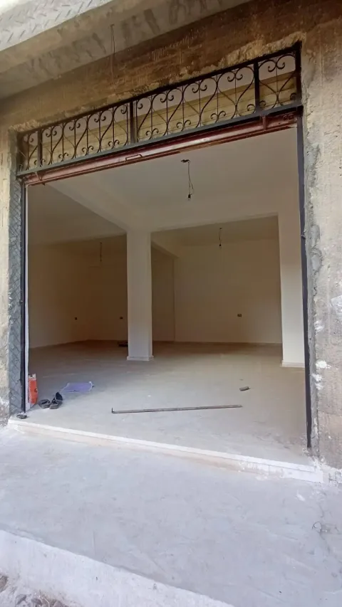 العامرية شارع السفن الاسكندرية