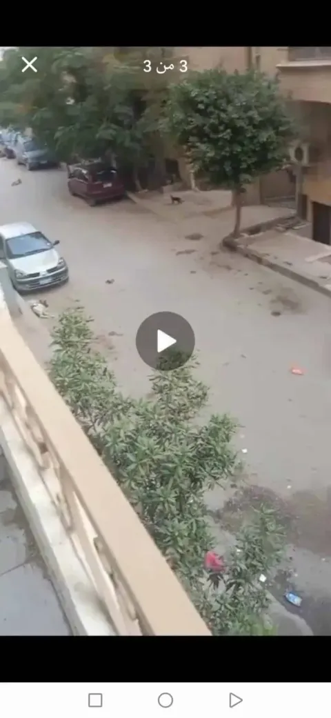 للإيجاارشقة١٤٠م٣ غرف ريسيبشن قطعتين الحي التاني ش القصر الأحمر