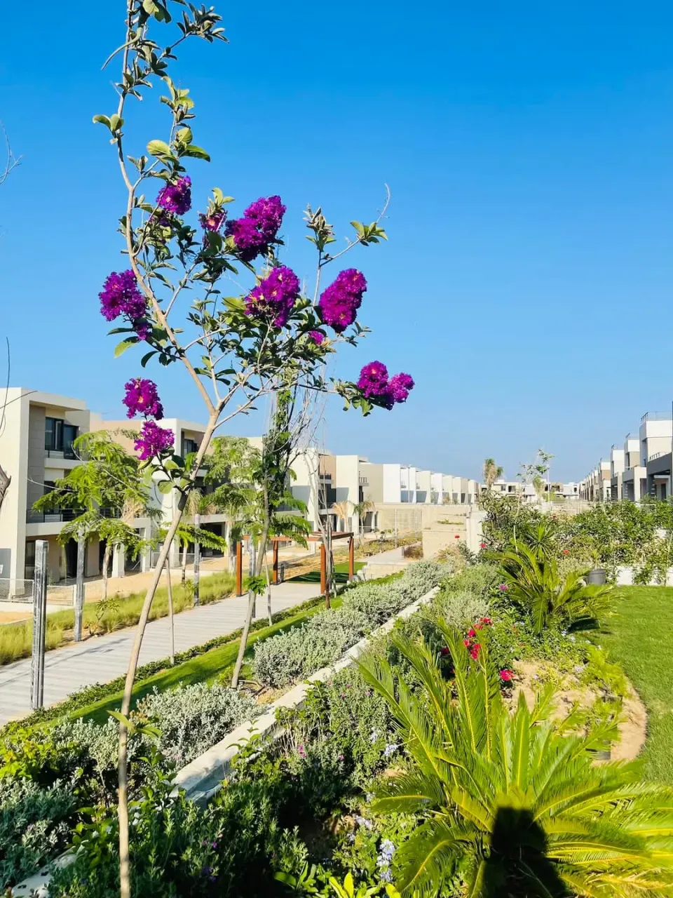 Apartment For Sale in Alexandria Governorate