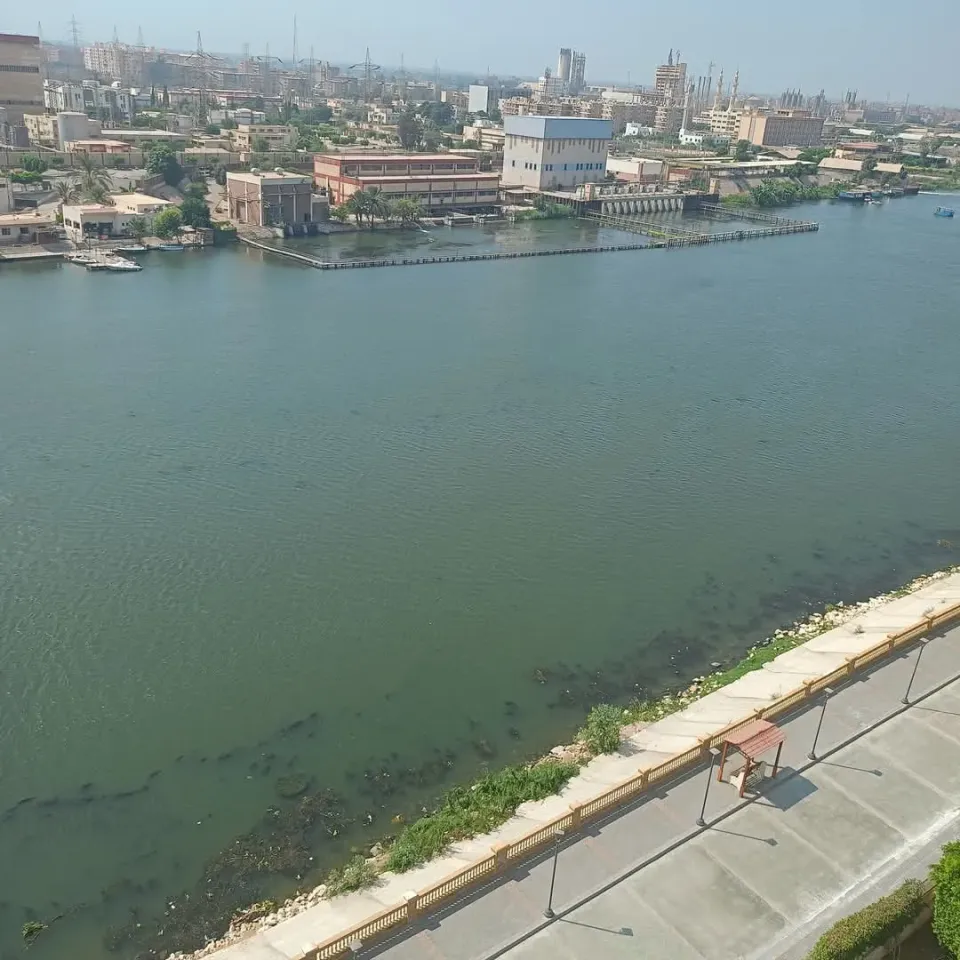 Apartment For Sale in Alexandria Governorate