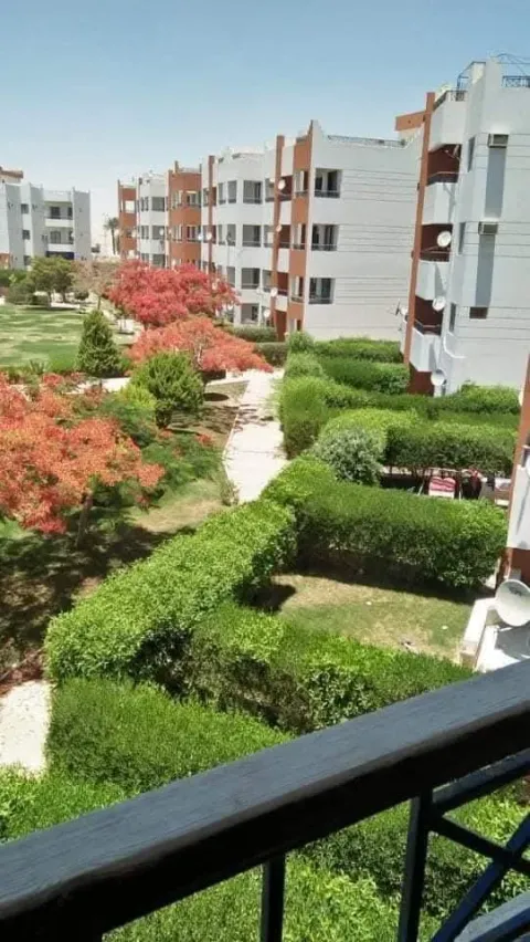 شاليه للايجار في راس سدر