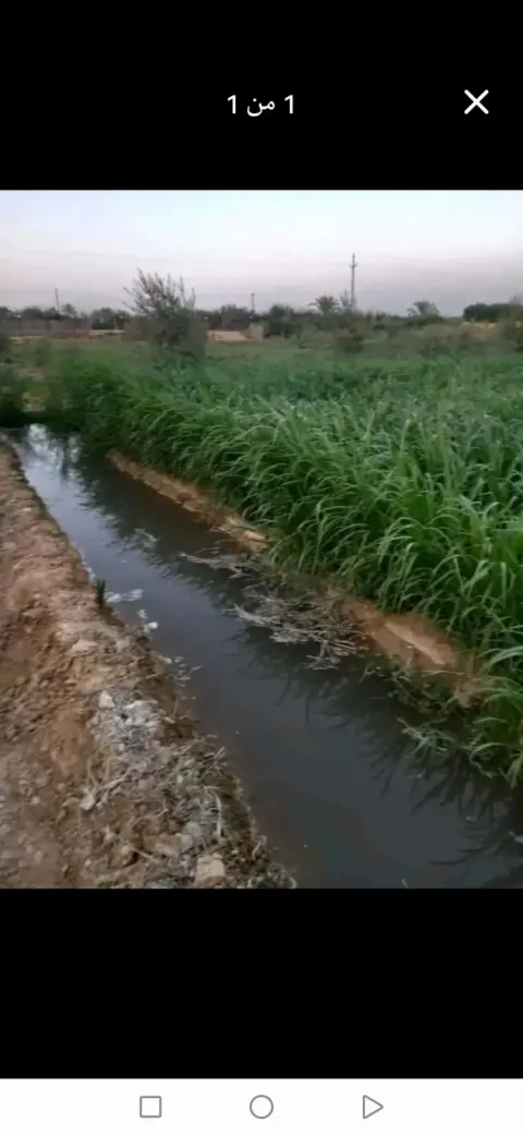 مزرعة للبيـــــع 10 فدان بتروي ري غمررر ري براحه