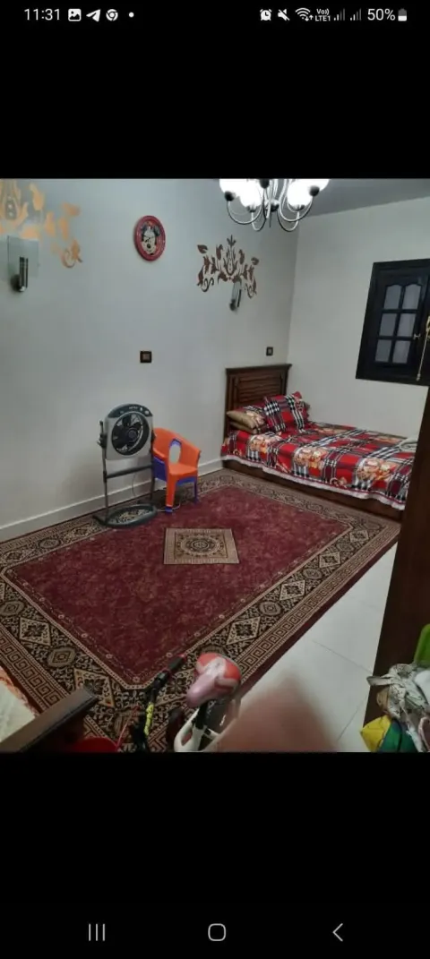 شقه تمليك لؤؤؤطه الزيتون الغربيه
