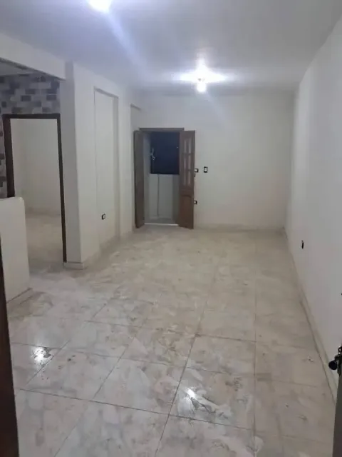 شقه للايجار