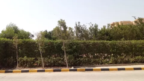 أرض للبيع أمام القرية الذكية مباشرآ
