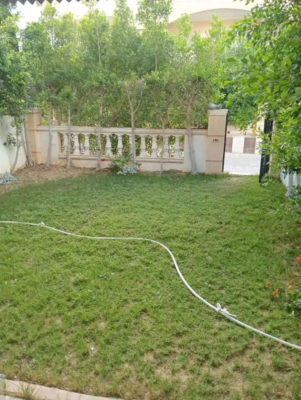 Studio For Sale in Ismailia