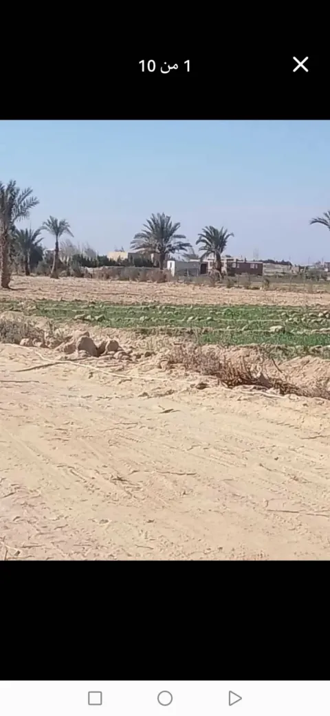 مزارع للبيع في محافظه الفيوم بيني وبين ميدان الرمايه