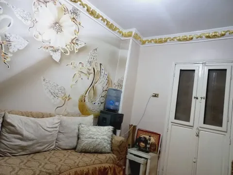 منزل عل النيل مباشر تشطيب سوبر سوبر لوكس