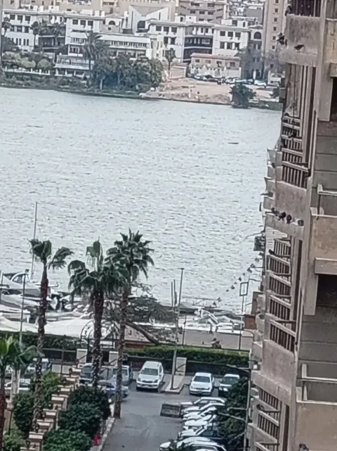 شقه للبيع موقع قوي الدقى فيو ترد النيل