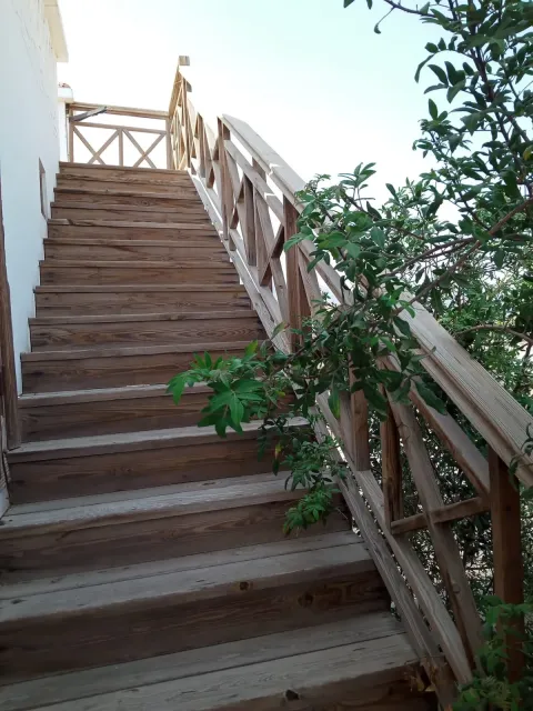 شقةغرفتين نوم فأصالة مع سطح،بالقرب سينا ماركت وفلافل حمدي دهب