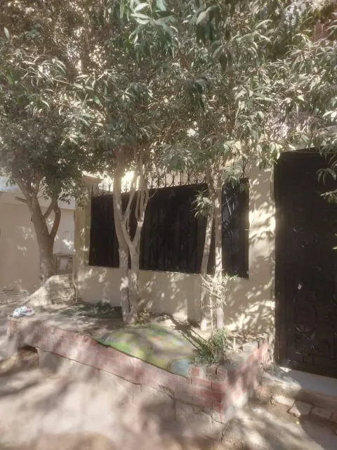 Apartment For Rent in Mohandessin