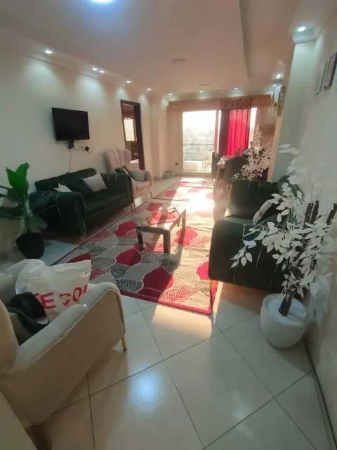شقةفندقية عالنيل مباشر إطلالة رائعة الزمالك للايجار اليومي