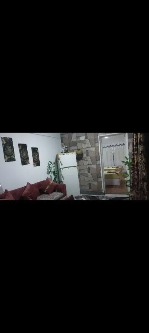 Apartment For Rent in Nasr City East