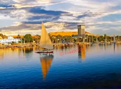 شقه للايجار اليومي بقلب اسوان