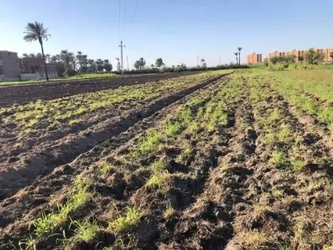 لبيع قطعه ارض مساحه ١٣٠٠متر ارض طريق القيس
