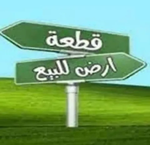 عرابي