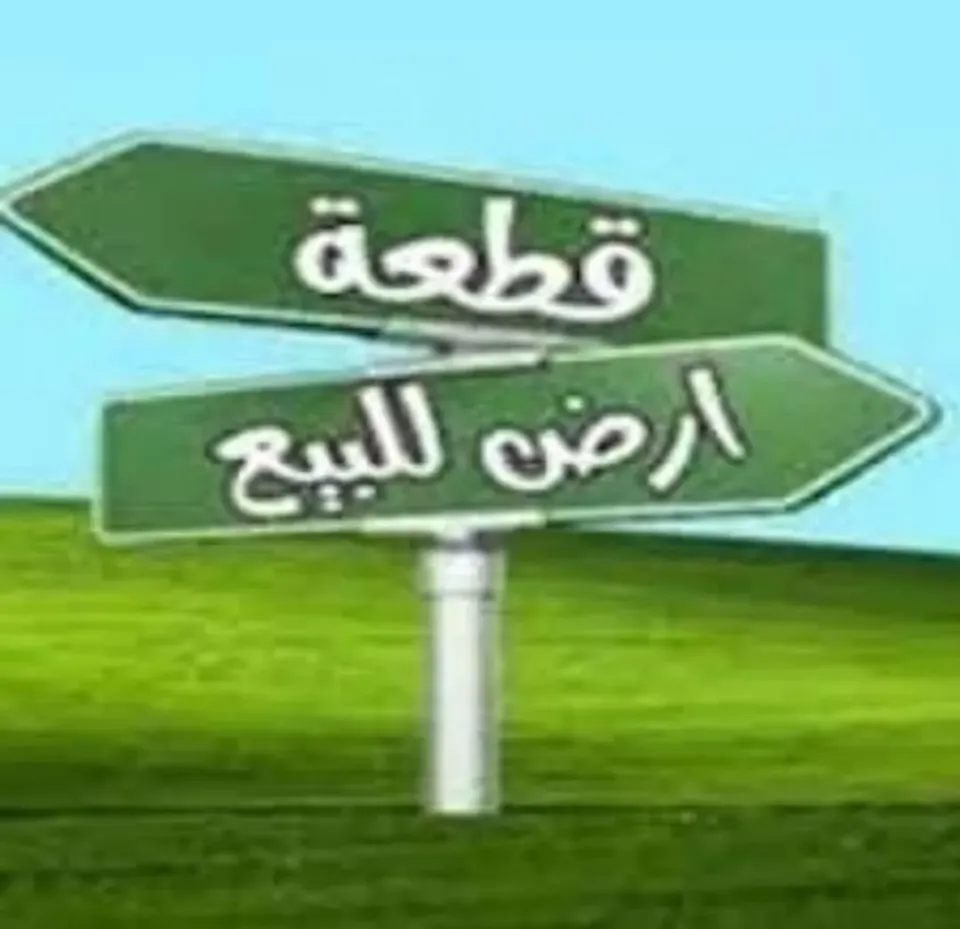 عرابي