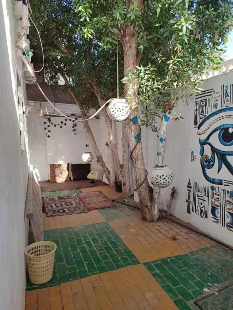 ستديو سكني للايجار في العصلة شارع مسجد الصالحين بدهب