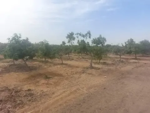 ارض للبيع