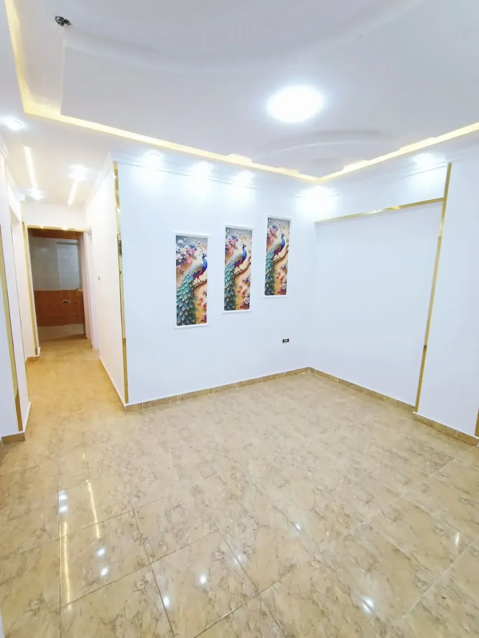 أرخص شاليه للبيع في الاسكندريه شاطئ النخيل