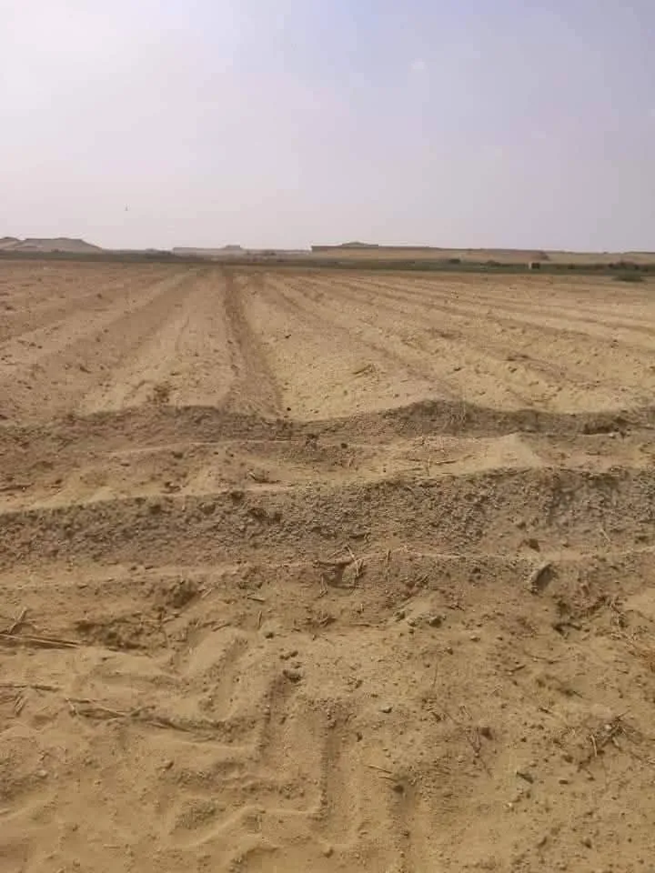60 فدان للبيع تربه ممتازه جدا جدا