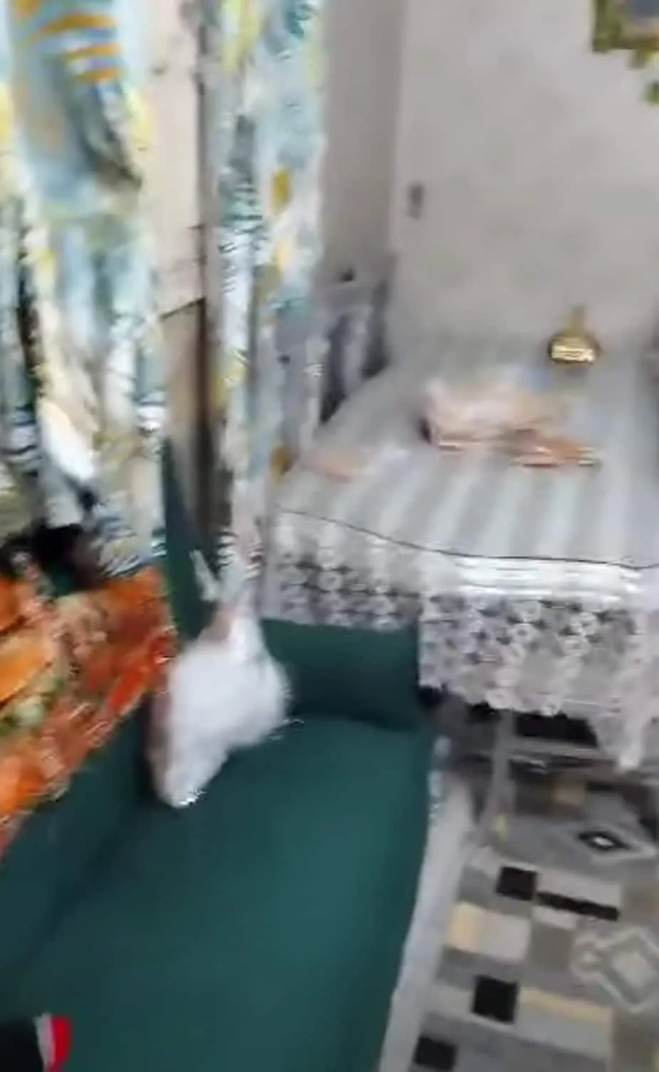 شقةلقطةدور تالت سلم بيت عمدان جانبى ش عبد الحميد مكى