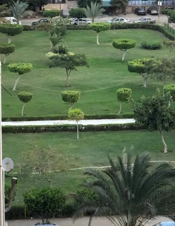المنطقة الاولى الرئيسي بين عباس العقاد والطيران قريبة
