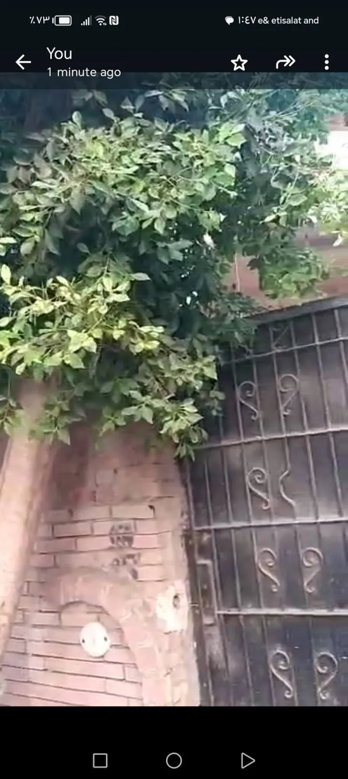 منزل ثلاث ادوار المنزل رقم ٣٢ش سليم صالح نهايةالملك