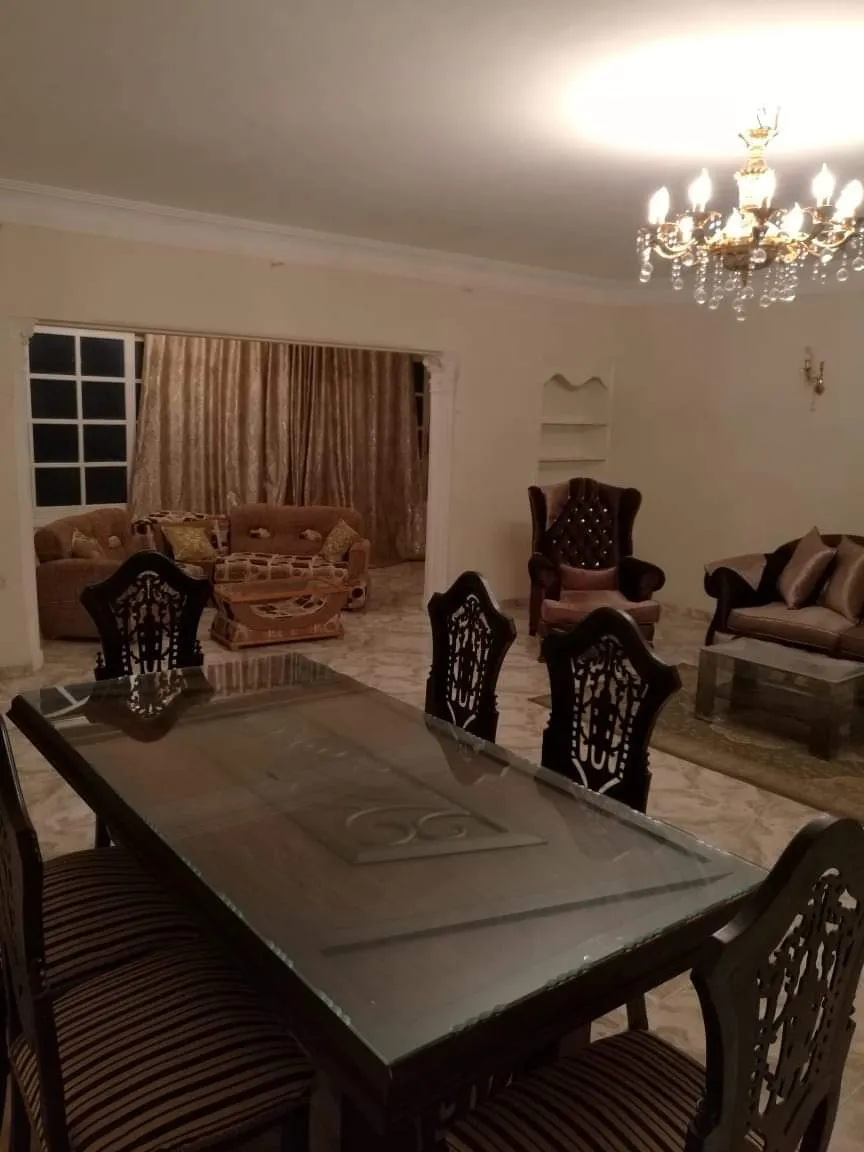 Apartment For Rent in Nasr City East