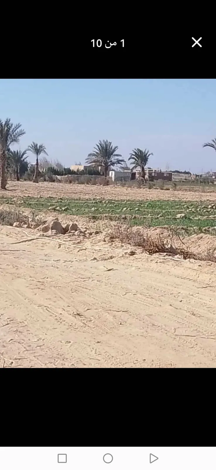 مزارع للبيع في محافظه الفيوم بيني وبين ميدان الرمايه
