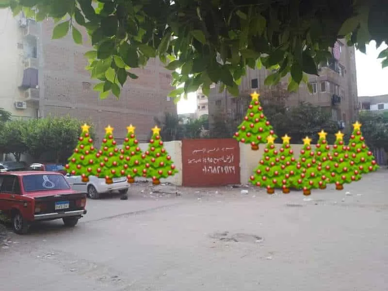 القاهرةحدائق حلوان شارع مسجدمحطةمتروالأنفاق ناصية شارع عبدالسلام الخبيرى